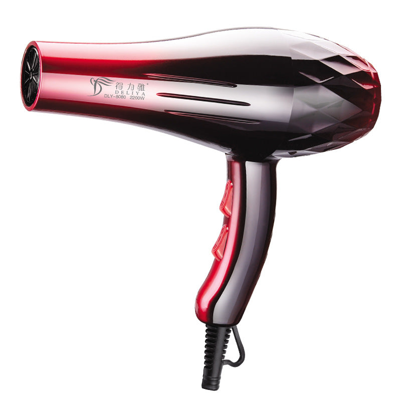 1000W Hair Dryer