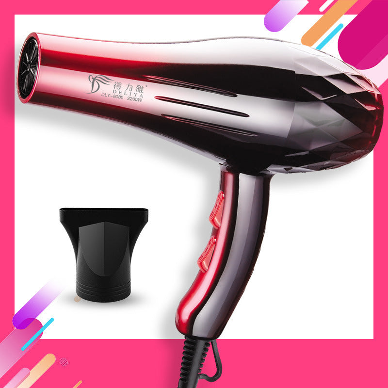 1000W Hair Dryer