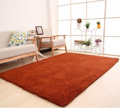 Soft Rug for Living Room & Bedroom