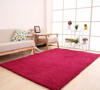 Soft Rug for Living Room & Bedroom