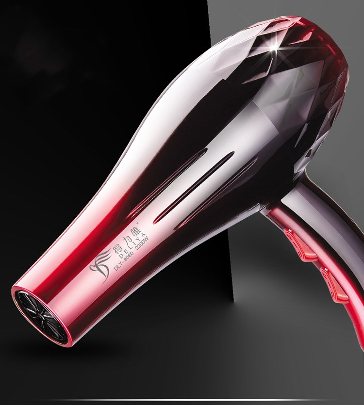 1000W Hair Dryer
