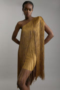 Elegant Evening Dress with Fringe