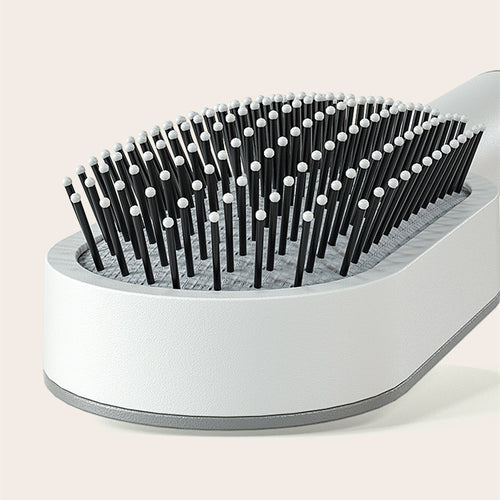 Self-Cleaning Anti-Static Brush