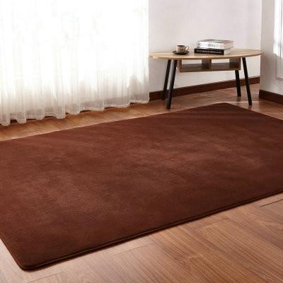 Soft Rug for Living Room & Bedroom